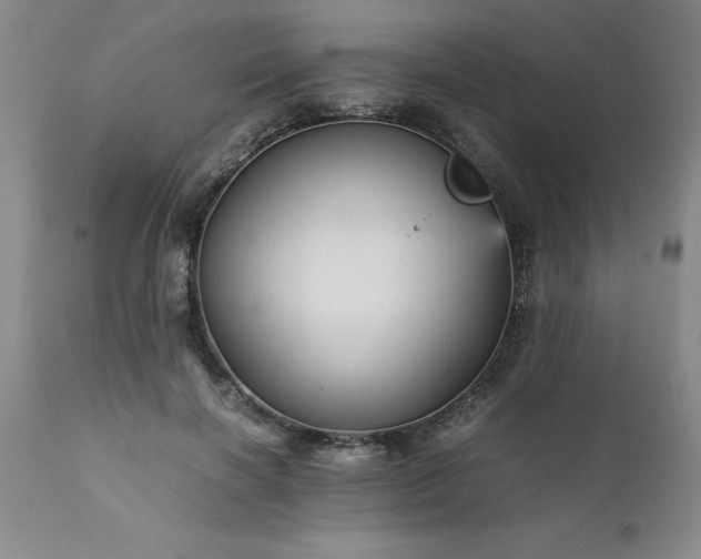 X0000111810646200907301234