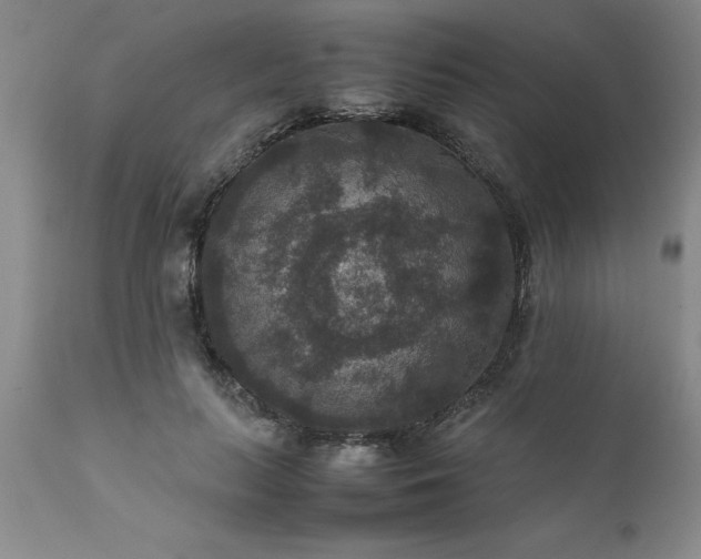 X0000111810647200907301234