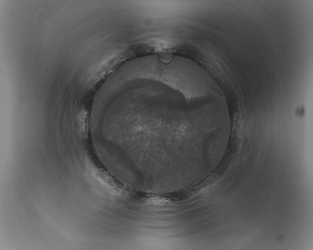 X0000111810650200907301234