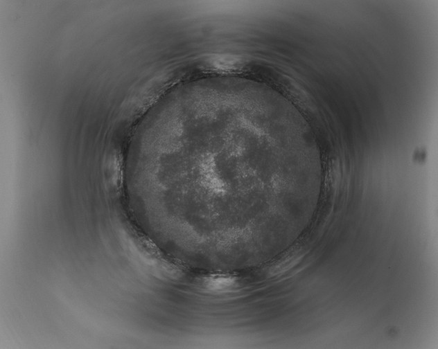 X0000111810651200907301234