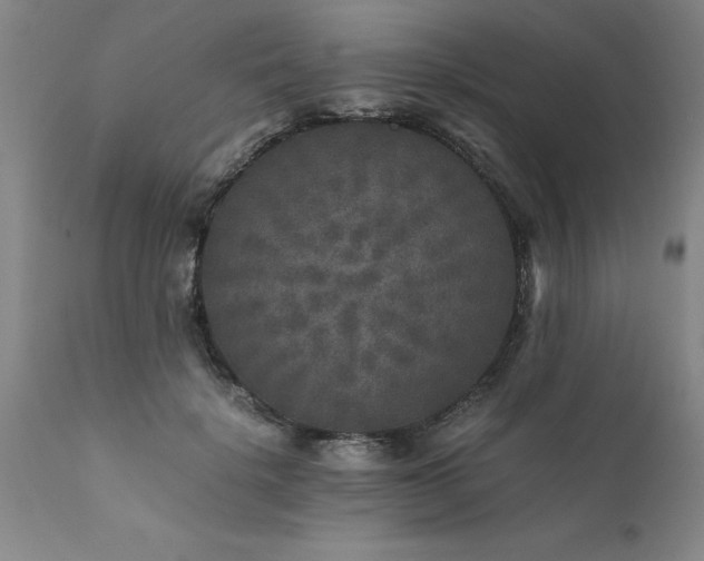 X0000111810652200907301234