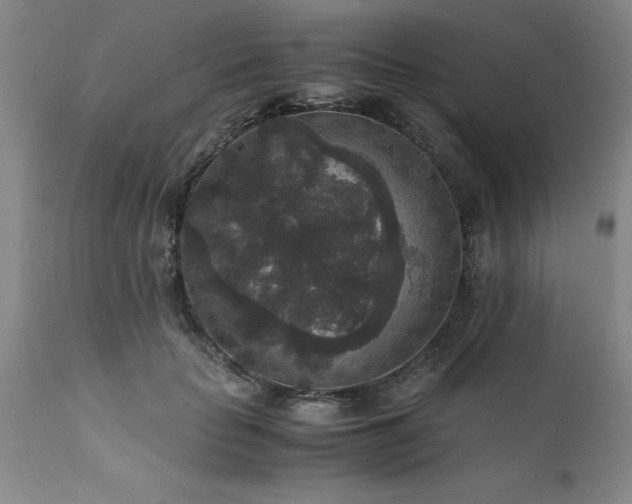 X0000111810653200907301234