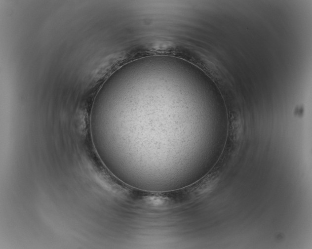 X0000111810654200907301234