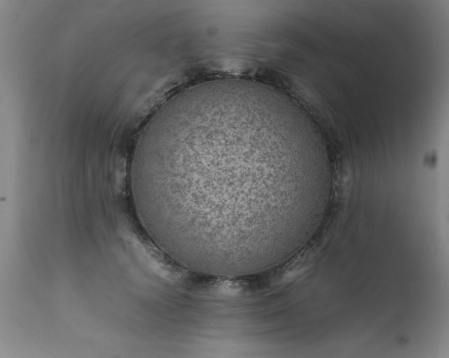 X0000111810656200907301234