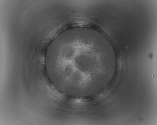 X0000111810657200907301234