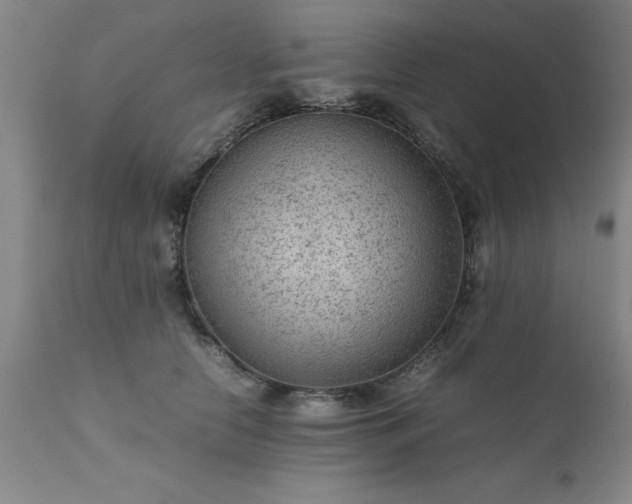 X0000111810658200907301234