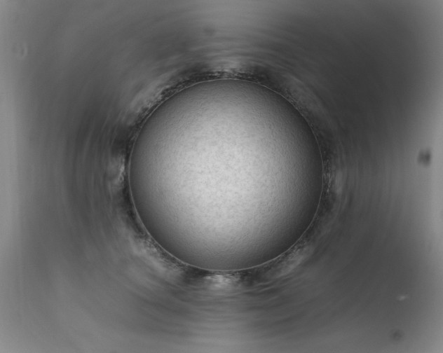 X0000111810660200907301234