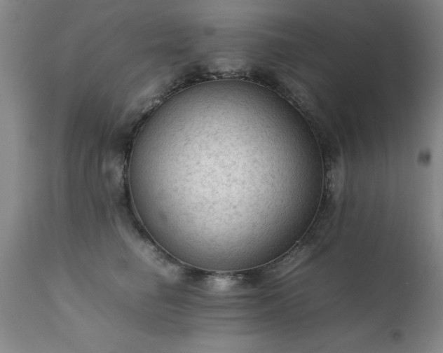 X0000111810662200907301234