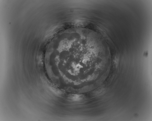 X0000111810663200907301234
