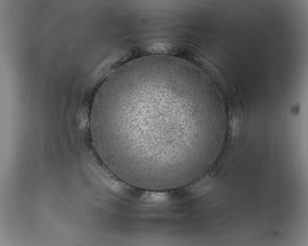 X0000111810665200907301234