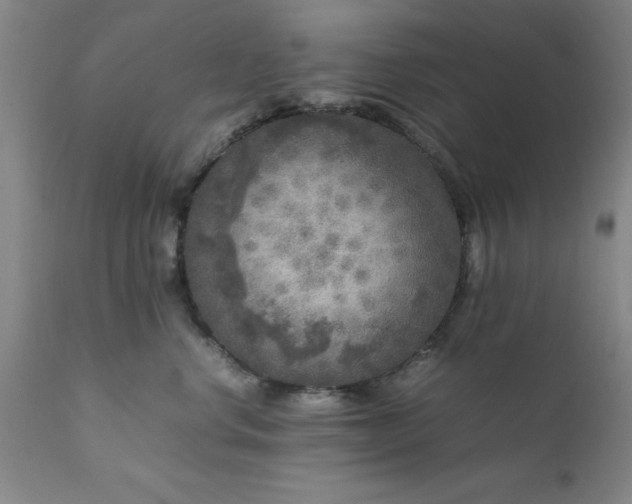 X0000111810668200907301234