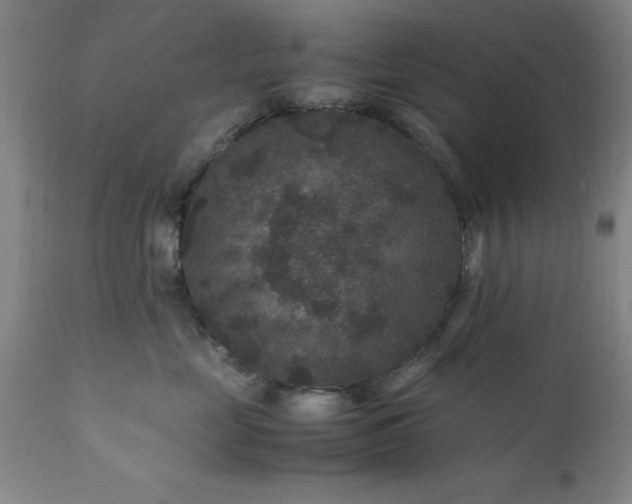 X0000111810669200907301234