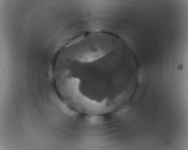X0000111810670200907301234