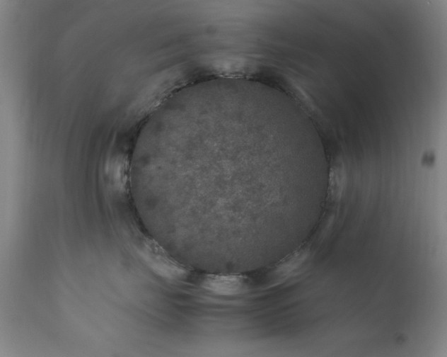 X0000111810671200907301234