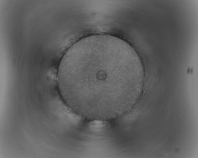 X0000111810672200907301234