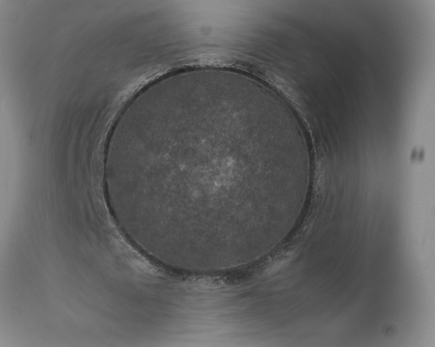 X0000111810673200907301233