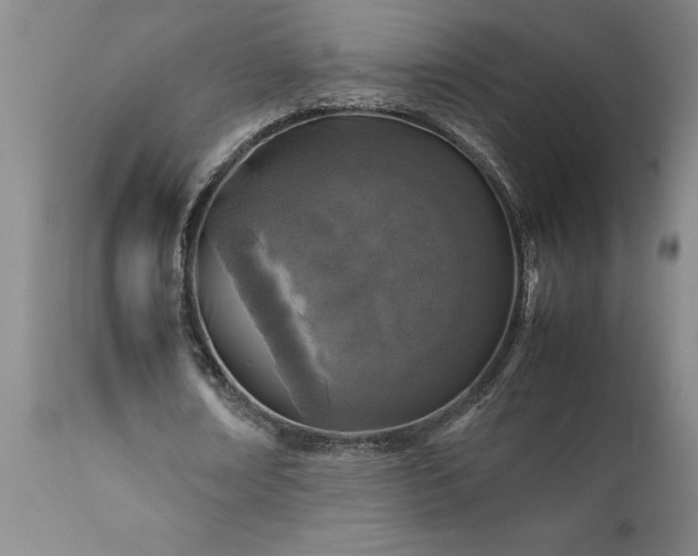 X0000111810674200907301233