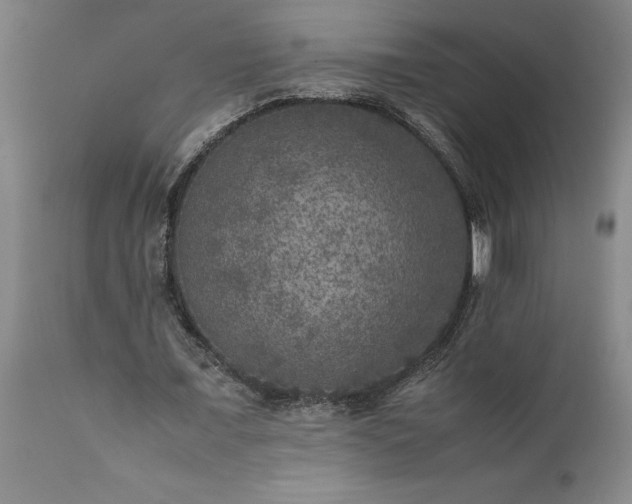 X0000111810675200907301233