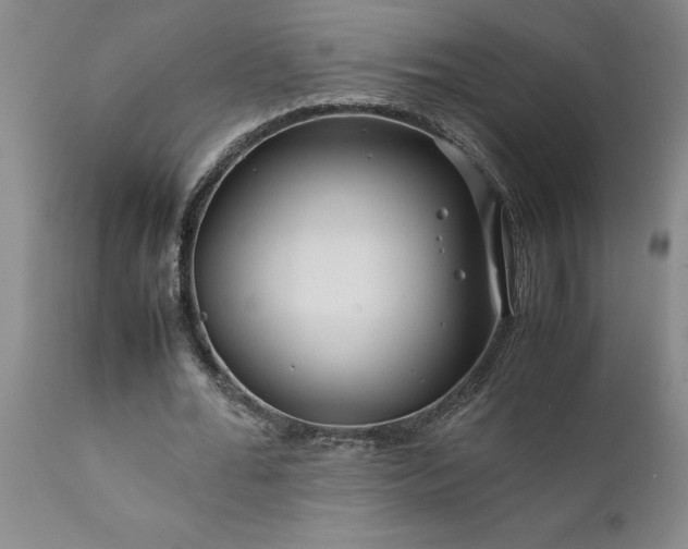 X0000111810676200907301233