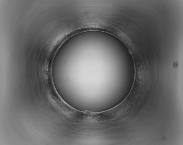 X0000111810680200907301233