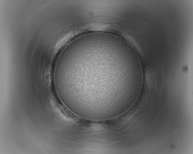 X0000111810682200907301233