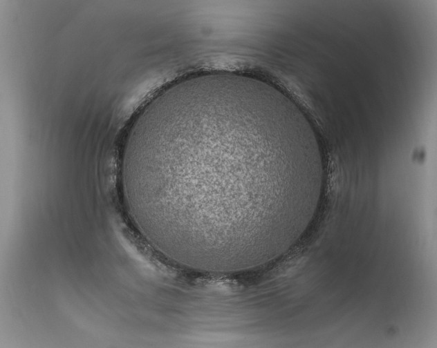 X0000111810683200907301233