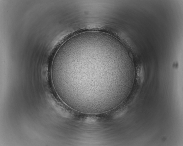 X0000111810684200907301233