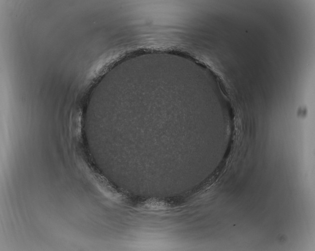 X0000111810685200907301233