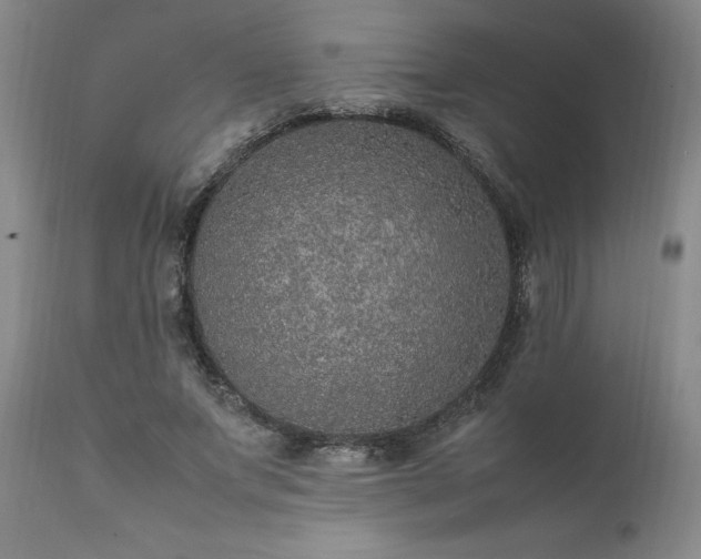 X0000111810687200907301233