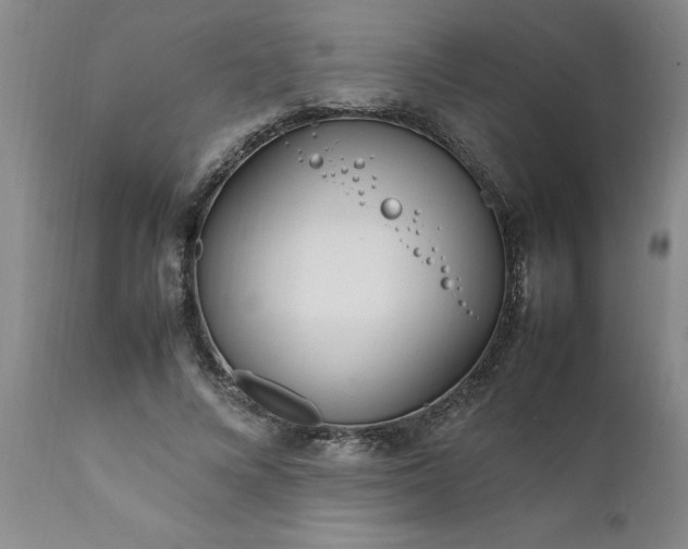 X0000111810688200907301233
