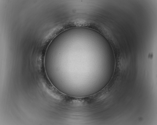 X0000111810690200907301233