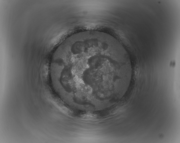 X0000111810691200907301233