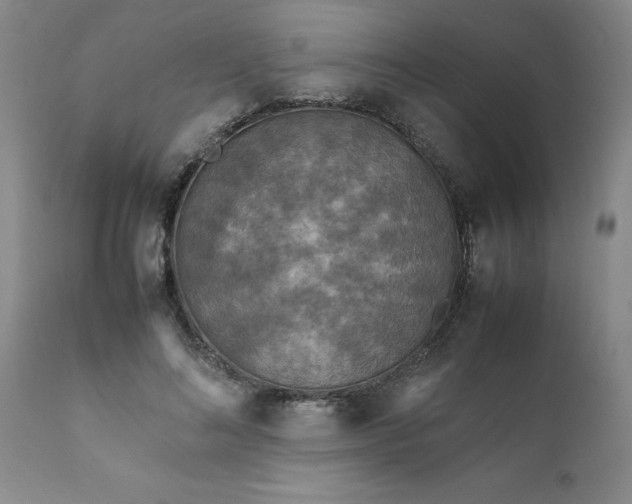 X0000111810692200907301233