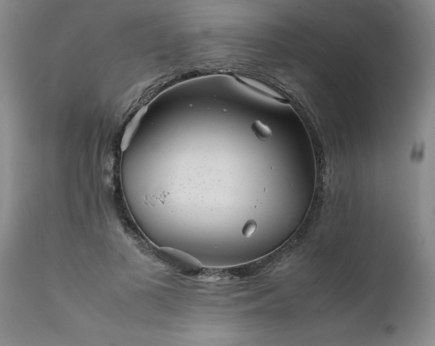 X0000111810693200907301233