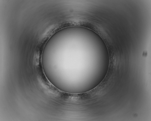 X0000111810694200907301233