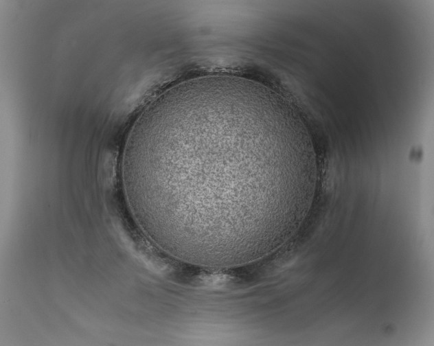 X0000111810695200907301233