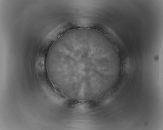 X0000111810696200907301233