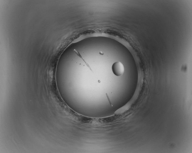 X0000111810697200907301233