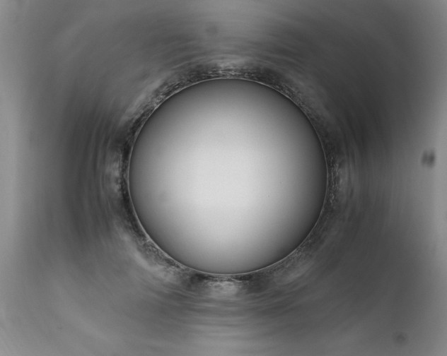 X0000111810698200907301233