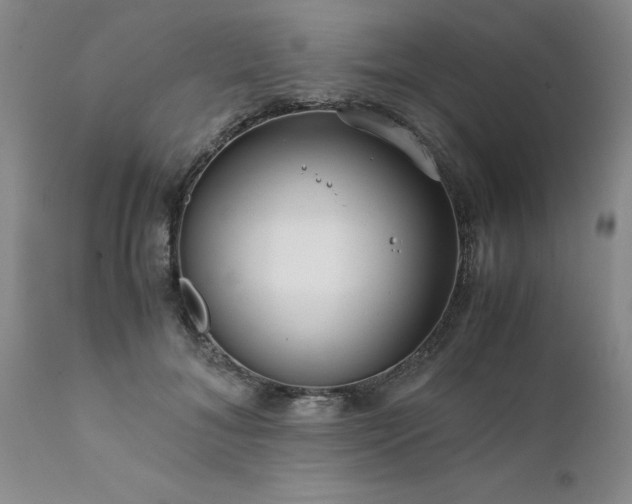 X0000111810700200907301233