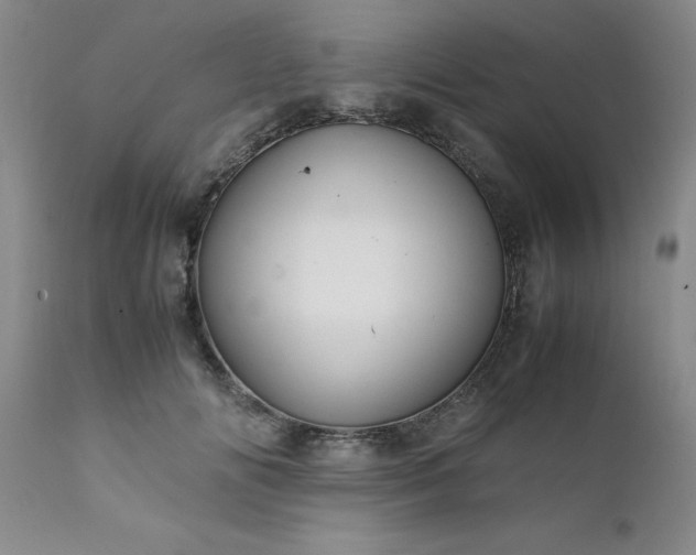 X0000111810702200907301233