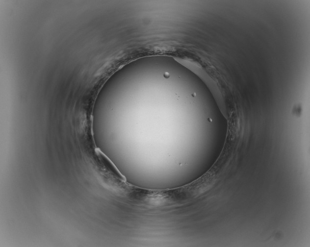 X0000111810704200907301233