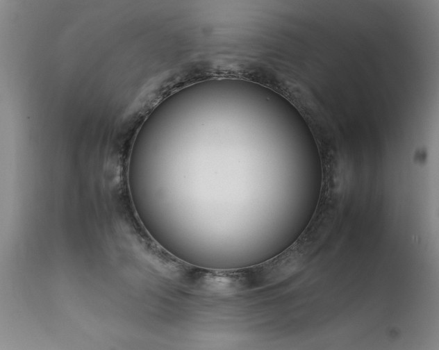 X0000111810706200907301233
