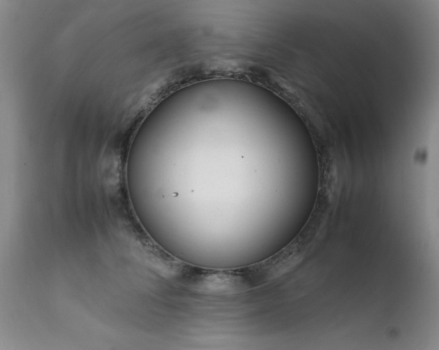 X0000111810708200907301233
