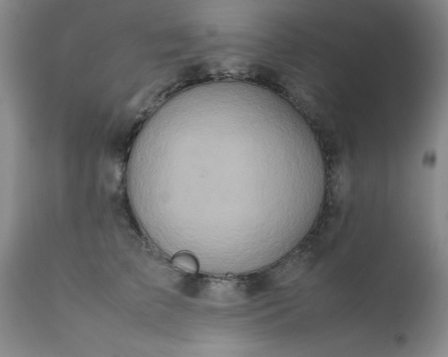 X0000111810709200907301233