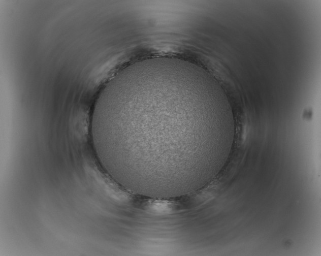 X0000111810710200907301233