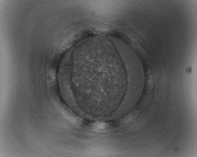 X0000111810711200907301233