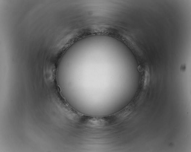 X0000111810712200907301233