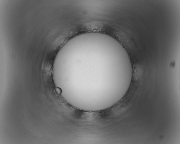 X0000111810713200907301233