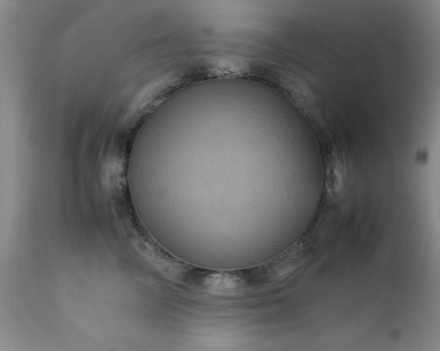 X0000111810714200907301233